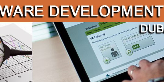 software-development-firm