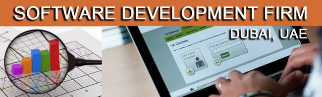 software-development-firm